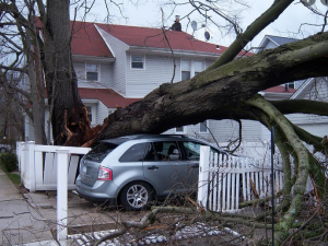 Storm Cleanup
