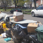 Yard waste on the front of yard