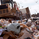 Garbage and Waste Removal