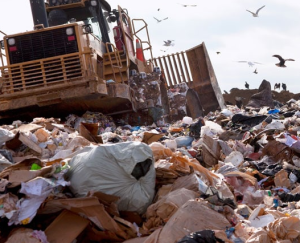 Garbage and Waste Removal